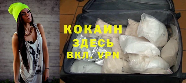 крисы Лагань