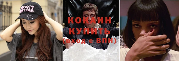 крисы Лагань