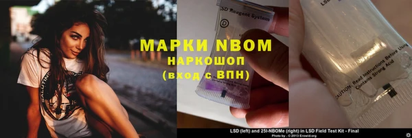 крисы Лагань