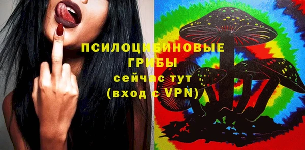 крисы Лагань