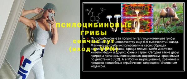 крисы Лагань